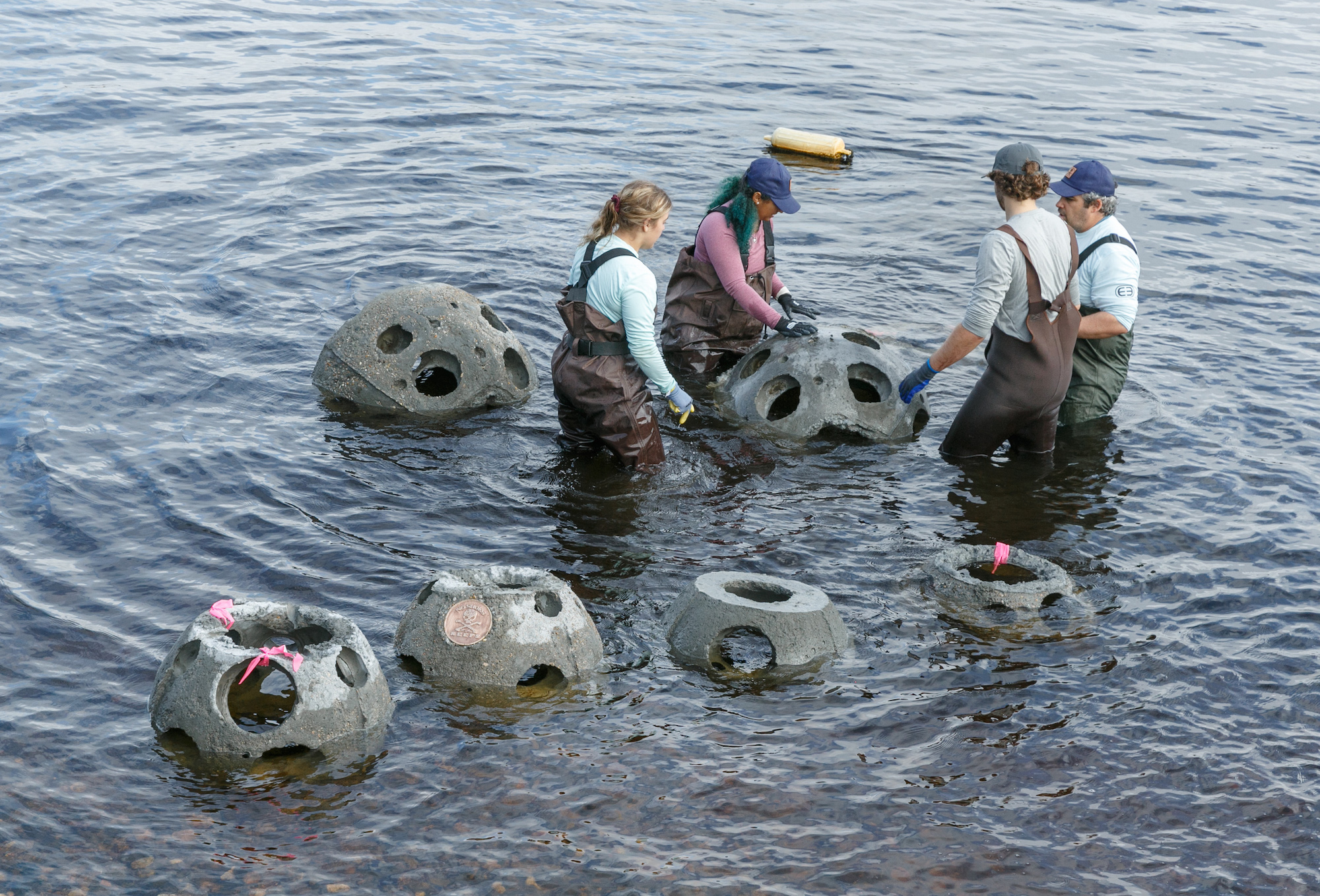 Camel's Reef Project