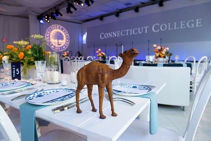 A camel serves as decor. 