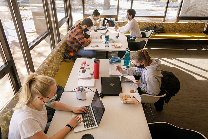 Students study in Blue Camel Cafe