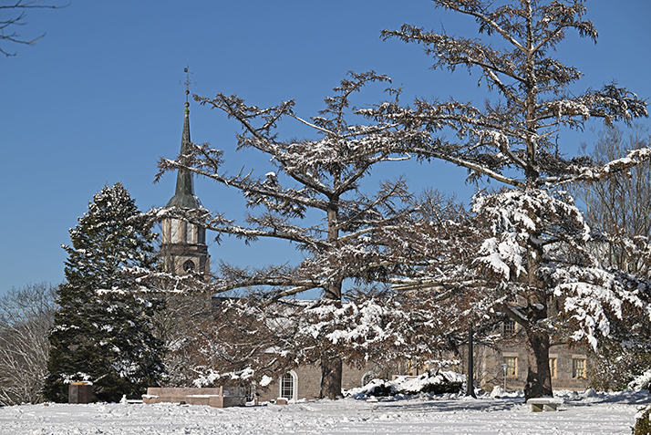 Snow covered trees and buildings.