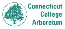 CT Arbo. logo