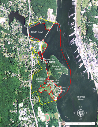 Mamacoke Island and Buffer Boundary