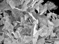 SEM images of Na-Birnessite platelets